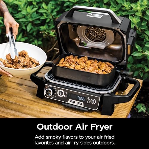 Ninja Woodfire Pro 7-in-1 Grill & Smoker with Thermometer - Image 8
